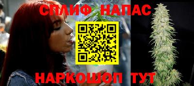 бошки Гай