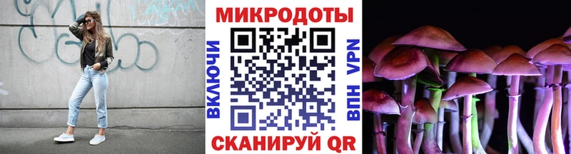 OMG ссылки  Муром  Псилоцибиновые грибы Magic Shrooms 