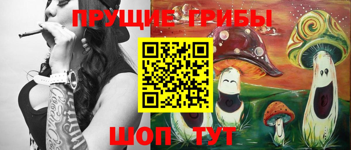 Муром  Галлюциногенные грибы Psilocybine cubensis  Вход с VPN 